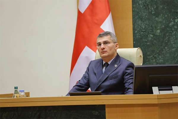 ეს მოდელი აბსოლუტურად მიუღებელია  განსაკუთრებით მაშინ, როდესაც ერთ-ერთ ქვეყანაში ადეიშვილის ყოფილი მოადგილე უდგას სათავეში ამ ე.წ. რეფორმას და გასაგებია, რა კატეგორიის ხალხი შეიძლება მოხვდეს ამ ეგიდით საქართველოში
