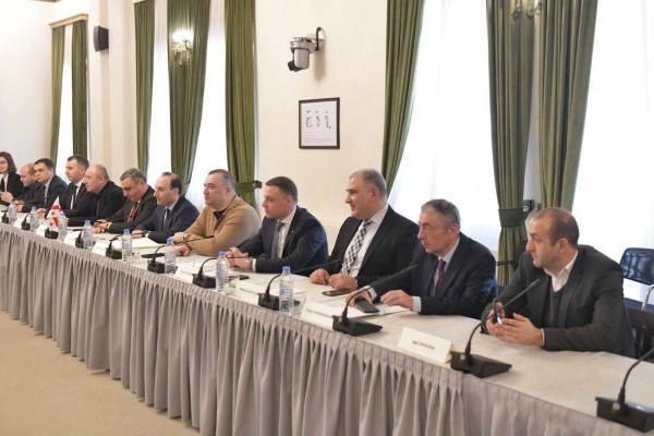 ანრი ოხანაშვილი და იურიდიულ საკითხთა კომიტეტის წევრები გერმანელ კოლეგებს შეხვდნენ