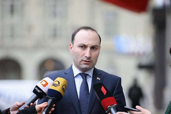 ანრი ოხანაშვილი: ეს რეალურად წარმოადგენდა არა სალომე ზურაბიშვილის ვეტოს, არამედ ეს იყო „ნაციონალური მოძრაობისა“ და რადიკალური ოპოზიციის ვეტო