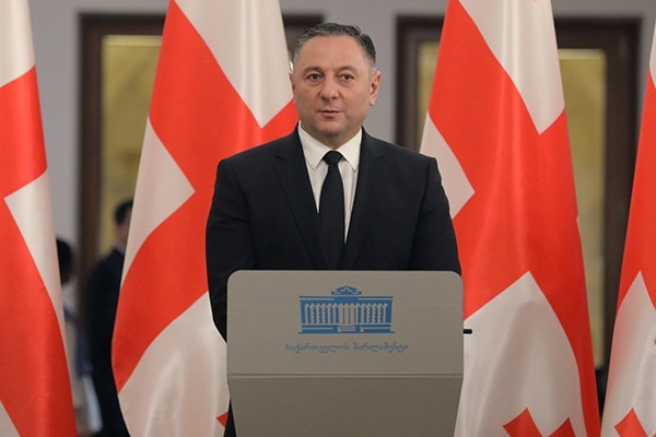 ვახტანგ გომელაური პარლამენტის წინაშე მოხსენებით წარსდგა