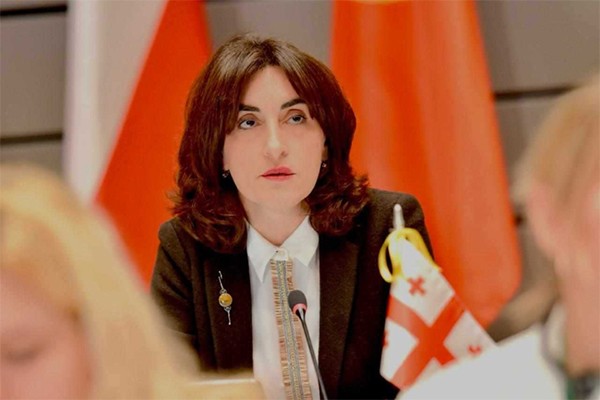 მაკა ბოჭორიშვილი: ვაშაძე რომ ამბობს გაოცებულია ევროპარლამენტიო, ნამდვილად გაოცებულები იყვნენ ჩვენი ევროპელი კოლეგები, როგორ არ შეგროვდა ათი ხელმოწერა სამი დელეგაციიდან