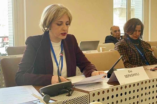 ეკა სეფაშვილმა ევროსაბჭოს კომიტეტს ბავშვთა შრომითი პირობების გაუმჯობესების შესახებ ანგარიში წარუდგინა