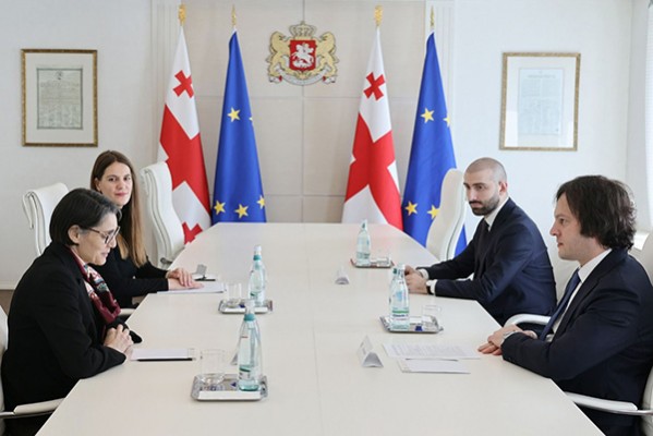 პრემიერ-მინისტრი საქართველოში ევროკავშირის სადამკვირვებლო მისიის ხელმძღვანელს შეხვდა