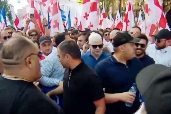 პარლამენტთან დაგეგმილ საერთო სახალხო შეკრებას ცოტნე ივანიშვილი შეუერთდა