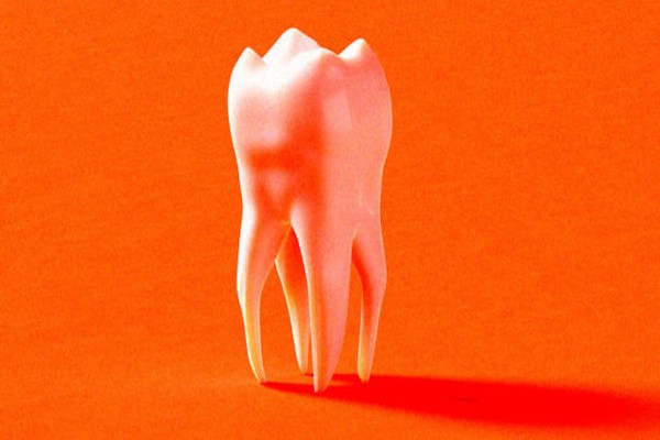მეცნიერები მუშაობენ მედიკამენტზე, რომელსაც ახალი კბილების გასაზრდელად გამოვიყენებთ