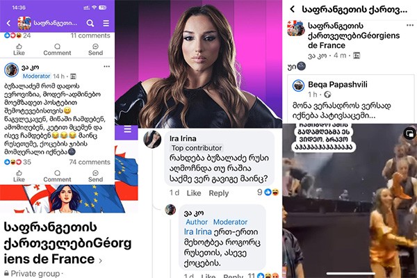 საფრანგეთში მცხოვრები ქართველი ემიგრანტების ნაწილი ნუცა ბუზალაძეს სოციალურ ქსელში აბულინგებს
