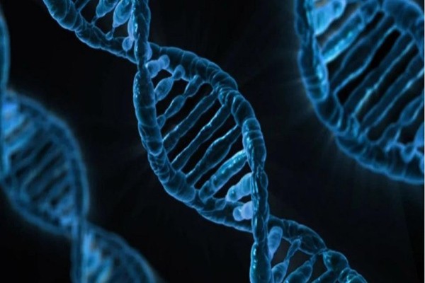 აღმოაჩინეს გენი, რომელიც ჭარბწონიანობასთან არის დაკავშირებული