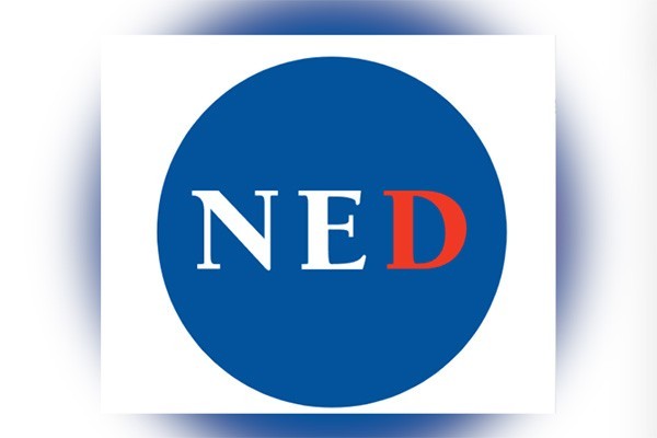 NED აფინანსებს  