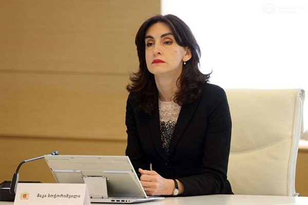 მაკა ბოჭორიშვილი ევროპარლამენტარების ვიზიტზე: არ ვიცი რამდენად ევროპარლამენტის სახელით არის ეს დელეგაცია - ვისი სახელით საუბრობენ და რისთვის არიან ჩამოსულები, საინტერესოა