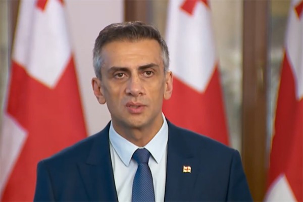 გიორგი კახიანი გერმანიის ელჩის განცხადებაზე მზია ამაღლობელთან დაკავშირებით: ელჩმა უნდა შეასრულოს თავისი ფუნქციები და არ უნდა დაემსგავსოს ოპოზიციის წარმომადგენელს