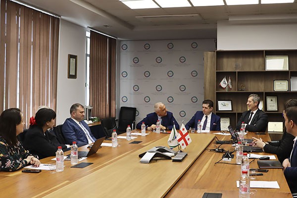 სემეკში განხორციელებული ტვინინგის პროექტები საერთაშორისო ექსპერტებმა დადებითად შეაფასეს