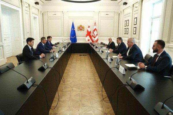 მიხეილ ყაველაშვილი საერთაშორისო სავალუტო ფონდის (IMF) მისიის ხელმძღვანელს შეხვდა