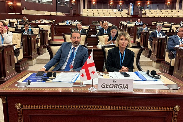 საქართველოს საპარლამენტო დელეგაცია შავი ზღვის ეკონომიკური თანამშრომლობის საპარლამენტო ასამბლეის (PABSEC) რიგით 65-ე გენერალური ასამბლეის სხდომაში მონაწილეობს