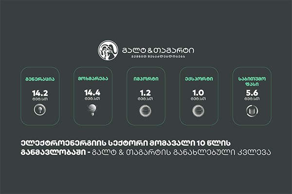 ელექტროენერგიის სექტორი მომავალი 10 წლის განმავლობაში - გალტ & თაგარტის განახლებული კვლევა