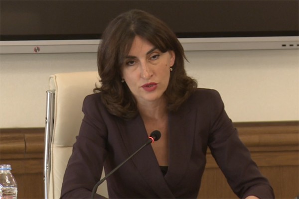 მაკა ბოჭორიშვილი: როდესაც, ირაკლი კობახიძემ პირველად ახსენა 