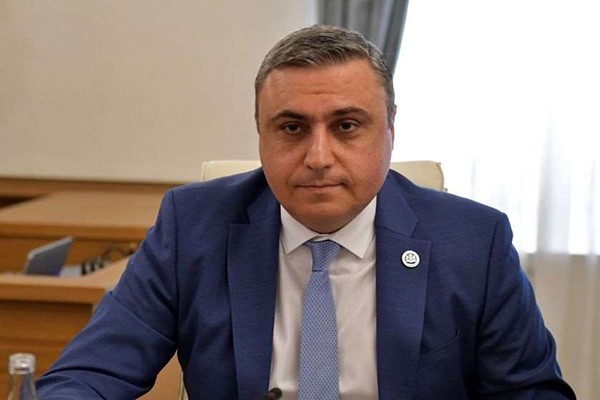 დავით მათიკაშვილი: ჩვენ ვქმნით ისეთ რეგულაციებს, რომ საქართველო არალეგალი მიგრანტების თავშეყრის ადგილი არ იყოს