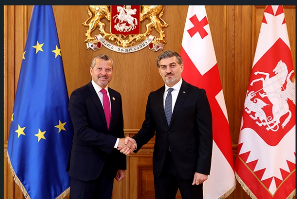 საქართველოს პრეზიდენტი მიხეილ ყაველაშვილი საერთაშორისო საზღვაო ორგანიზაციის გენერალურ მდივანს არსენიო დომინგესს შეხვდა