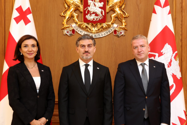 საქართველოს პრეზიდენტი მიხეილ ყაველაშვილი იტალიასა და ყაზახეთში საქართველოს ახლად დანიშნულ საგანგებო და სრულუფლებიან ელჩებს შეხვდა.