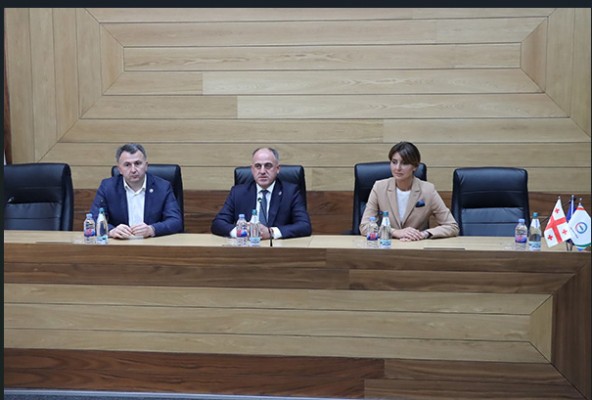 სემეკში რუსთავის წყალმომარაგების საკითხებთან დაკავშირებით შეხვედრა გაიმართა