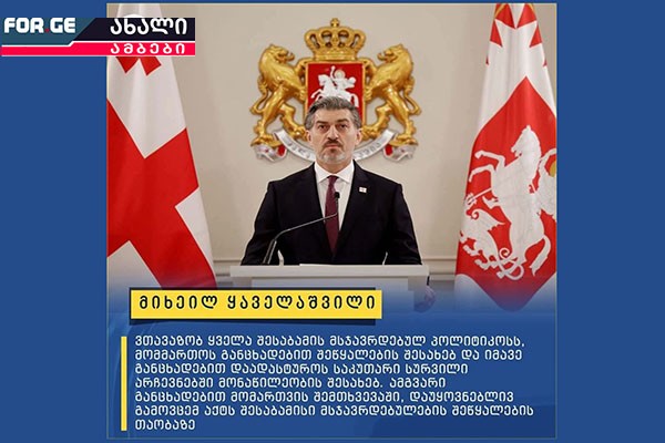 „თუ მათთვის არალეგიტიმური პრეზიდენტისთვის მიმართვას თაკილობენ, ამავე პრეზიდენტის მიერ დანიშნულ არჩევნებში მონაწილეობას როგორ აპირებენ?“