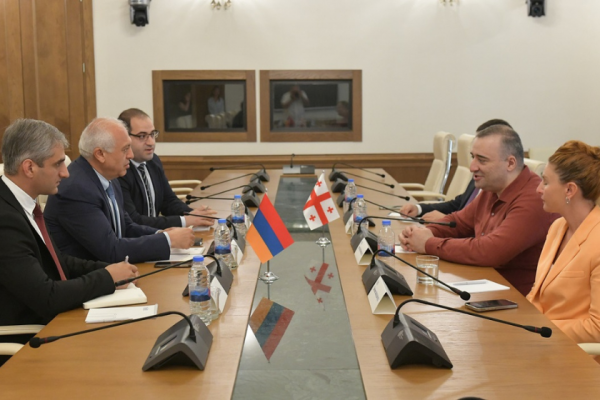 რატი იონათამიშვილი სომხეთის ელჩს შეხვდა