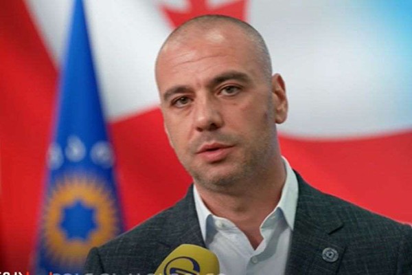 ლევან მაჭავარიანი: ყაველაშვილის მიერ გადადგმული ეს ნაბიჯი უმნიშვნელოვანესია
