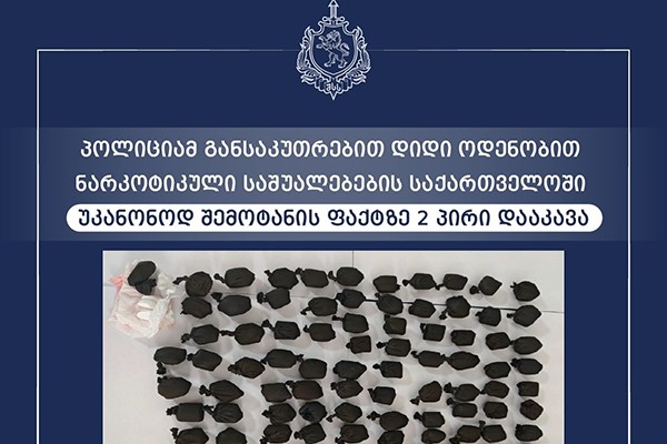 პოლიციამ განსაკუთრებით დიდი ოდენობით ნარკოტიკული საშუალებების საქართველოში უკანონოდ შემოტანის ფაქტზე 2 პირი დააკავა