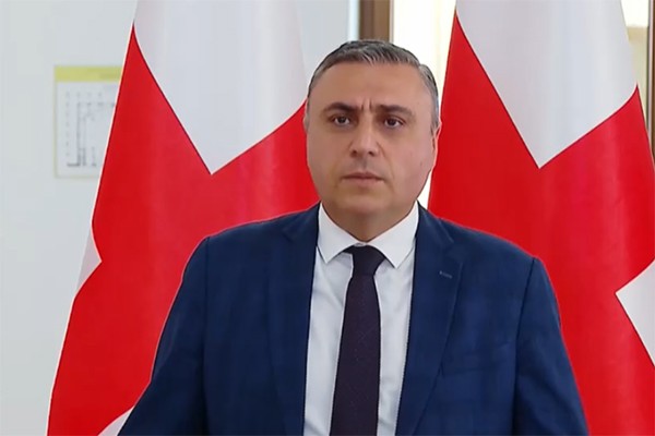 დავით მათკაშვილი შვედეთის მიერ მიღებულ კანონზე: შეწყვიტონ ორმაგი სტანდარტებით მოქმედება