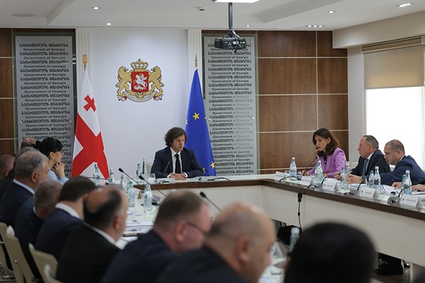 საქართველოს ევროკავშირში ინტეგრაციის კომისიის სხდომაზე საქართველოს ევროკავშირში ინტეგრაციის 2024 წლის სამოქმედო გეგმის შესრულების წლიური ანგარიში განიხილეს