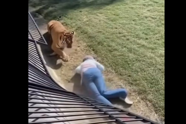 ბებია არა!! (ვიდეო)