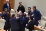 parlamentSi-fizikuri-dapirispireba-moxda-video
