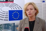 iukneviCienes-faSisturi-gancxadebebi-qarTvelebze-da-EPP-is-rezolucia-romelic-sanqciebis-gafarToebas-iTxovs