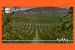saqarTvelos-bankis-mxardaWeriT-Sps-agromacivarma-kaxeTSi-nuSisa-da-xexilis-baRebi-gaaSena