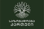 -sazogadoebis-mimarT-am-provokacias-kidev-erTi-mTavari-mizani-aqvs---rogorme-wamebul-geniosebad-inkviziciis-msxverplad-gamoiyvanon-Tavi-da-grantebi-aiRon-