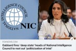 Fox-News-tulsi-gabardma-erovnuli-sadazvervo-sabWos-dif-sTeiTis-warmomadgeneli-xelmZRvanelebi-gaaTavisufla