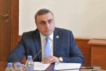 daviT-maTikaSvili-poloneTis-saelCos-gancxadebaze-rodesac-saelCo-msgavs-gancxadebas-akeTebs-SegviZlia-amiT-davaskvnaT-rom-mas-aqvs-saTanado-informacia-sakuTari-moqalaqeebis-mier-radikalur-aqciebSi-monawileobis-Sesaxeb
