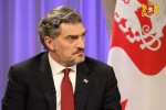 mixeil-yavelaSvili-me-mqonda-kontaqti-premierTan-da-vici-rom-senatorma-stiv-deinsma-gamoTqva-gadatvirTvis-procesis-dawyebisTvis-mzaoba