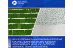 mebaJe-oficrebma-sarfSi-didi-odenobiT-narkotikuli-nivTierebis-Semcveli-medikamentebis-malulad-Semotanis-faqti-gamoavlines