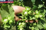 Txilis-mosavali-da-fasi-wels-Zalian-kargia-magram-gaCnda-axali-didi-problema