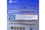 quTaisis-aeroportSi-didi-raodenobiT-aradeklarirebuli-oqros-nakeTobebis-Semotanis-faqtebi-aRkveTes