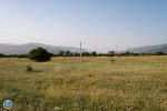sagamoZiebo-samsaxurma-saxelmwifos-sakuTrebaSi-arsebuli-miwebis-motyuebiT-dauflebis-faqtze-sami-piri-amxila