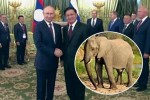 laosi-prezidenti-putins-spiloebs-aCuqebs---ra-upasuxa-mas-putinma