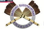 droebiTi-sagamoZiebo-komisiis-daskvna---nacionalebs-politikuri-sanagve-emuqreba-saakaSvils-ki-axali-bralis-wardgena-agvistos-omze