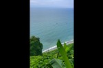 gariskavdiT---baTumis-botanikuri-baRi-video