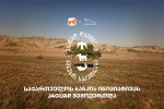 erTad-davicvaT-bunebis-sakuTreba---saqarTvelos-bankis-da-CNF-is-kampaniaSi-Jaguar-ic-monawileobs