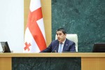 Salva-papuaSvili-sagamoZiebo-komisiam-istoriuli-misia-Seasrula