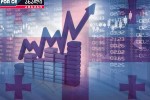 zogierT-dargSi-investiciebi-gaizarda-Tumca-saerTo-maCvenebeli-jer-ver-gaumjobesda