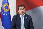 Salva-papuaSvili-madloba-helsinkis-komisias-rom-ase-erTad-vnaxeT-dif-sTeiTis-agentebi