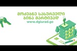 binebi-dRiurad--saukeTeso-alternativa-moklevadiani-dasvenebisa-da-saqmiani-vizitebisTvis