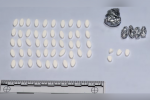 policiam-TbilisSi-narkodanaSaulis-braldebiT-6-piri-daakava